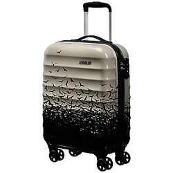 American Tourister Palm Valley 4-Wheel 55cm Cabin Suitcase, Fly Away Black
